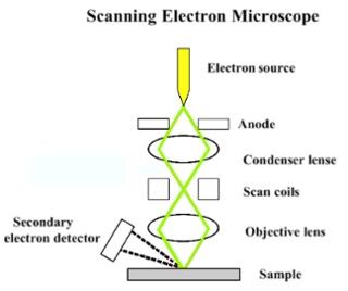 我们着重讲述扫描电镜 sem.sem 的示意图如图1 所示.