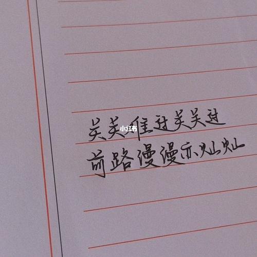 关关难过关关过 前路漫漫亦灿灿_手写_兴趣爱好_书法