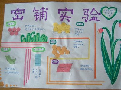 探究图形的密铺手抄报 数学图形手抄报