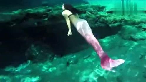 日本冲绳海面惊现3米"美人鱼"尸体,疑与当地填海造陆有关