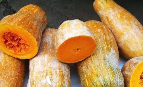 南瓜越老越好吃?会挑的请举手