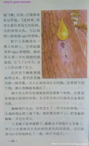 琥珀