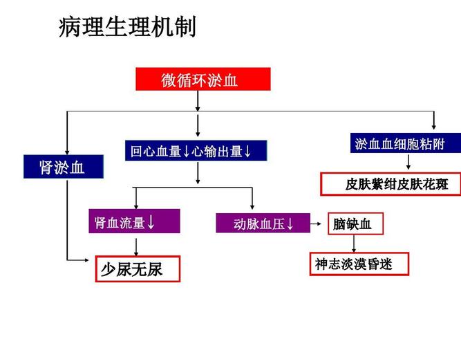 低血容量休克复苏指南及新进展ppt