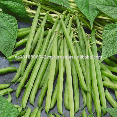 frozen whole french green bean with cheap price
