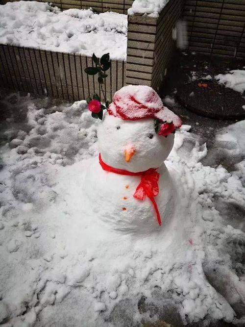 有奖征集堆雪人我们是认真的