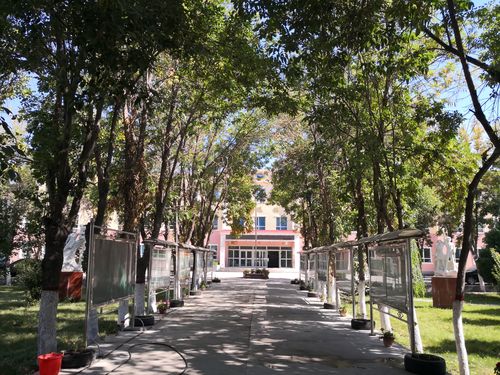 伊宁县萨地克于孜乡小学2018秋季一年级招生啦!