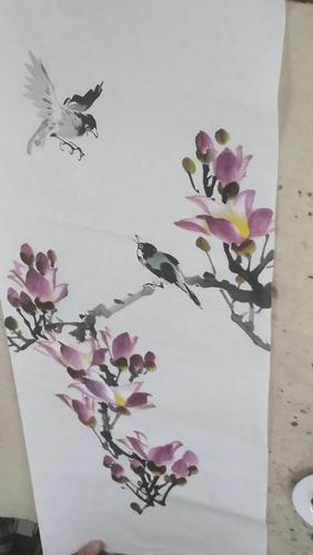陈铭波老师画辛夷花和芙蓉花——2018年10月31日