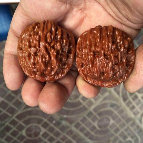 文玩核桃 四座楼狮子头盘玩两年多,成色好,纹路清,皮质厚.