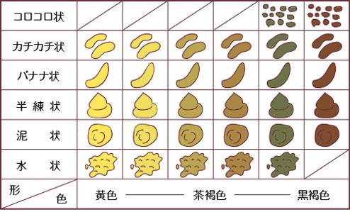 前不久,听一个日本人讲到大便形状与健康的关系,他把最理想的便状叫做