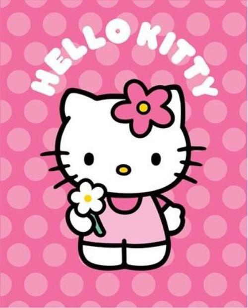 hellokitty 可爱猫