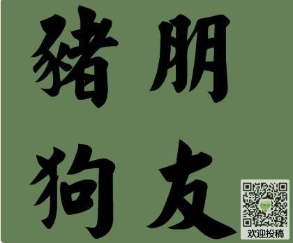 有猪字的四字成语:    一龙一猪,猪朋狗友,猪狗不如,指猪骂狗