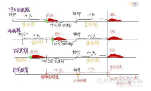 月经周期是什么意思怎么算