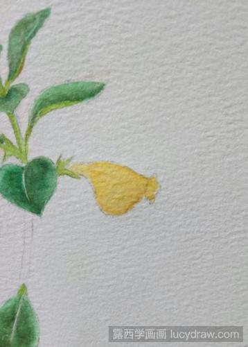 金鱼草水彩画教程