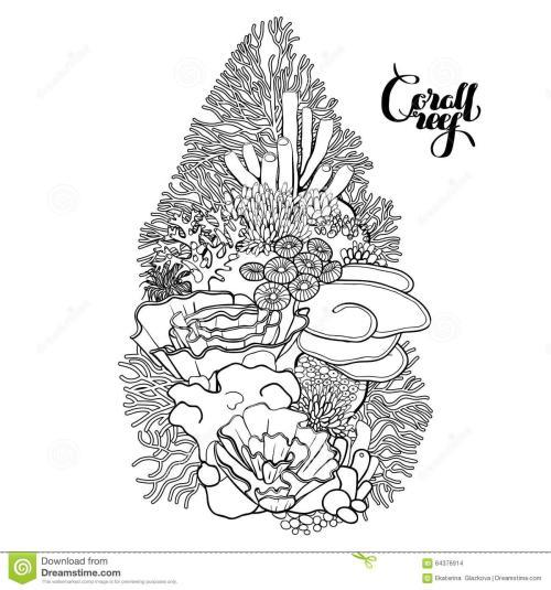 回归珊瑚礁简笔画