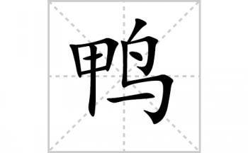 鸭的笔顺笔画怎么写(鸭的笔画,拼音,解释及成语详解)