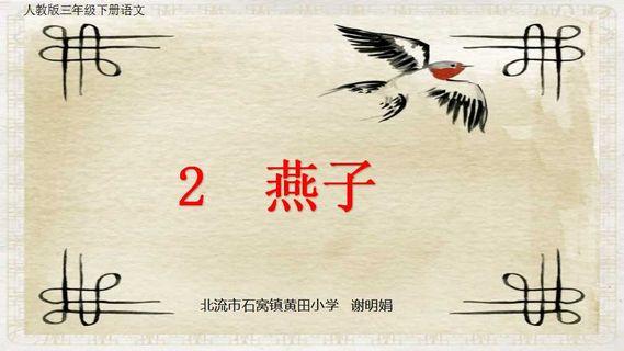 燕子ppt课件设计
