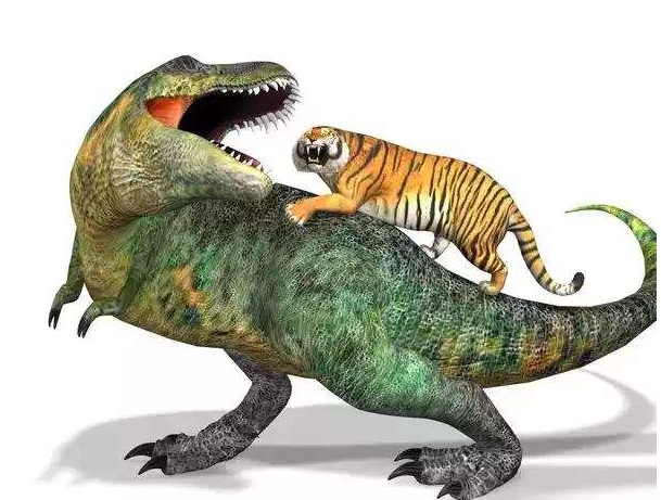 多少只狮子才能猎杀霸王龙结果或是这样