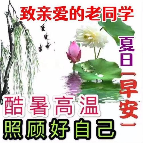 老同学早上好最美的图片表情祝福,酷暑高温,照顾好自己