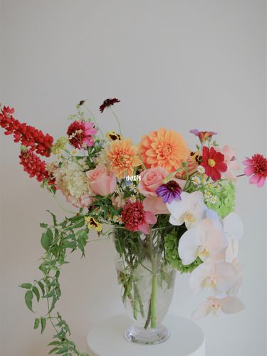 【足不出户去法国】带你体验四种法式瓶花99_插花_花店_探店_客厅