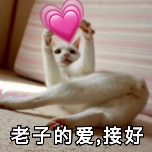 情侣表情包