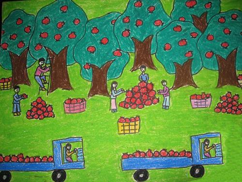 丰收果实简笔画