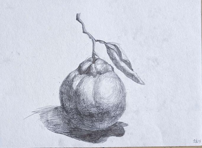 素描静物——青儿美育大课堂周末班同学们