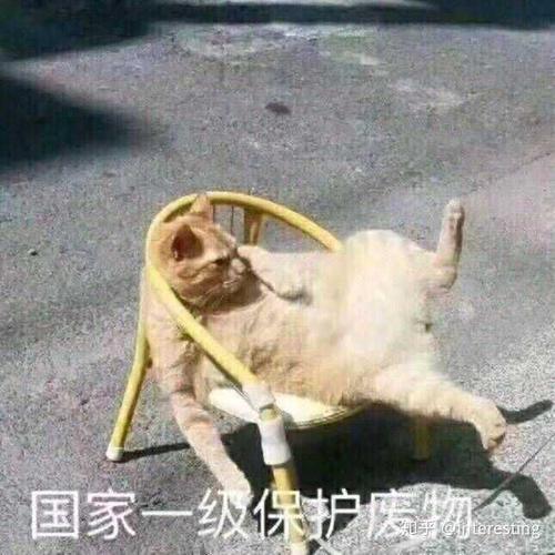 有兄弟有沙雕头像嘛?