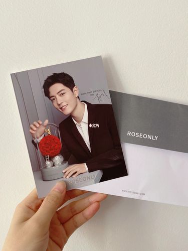 roseonly帅气代言人肖战_roseonly怎么样_肖战_roseonly.