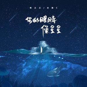 你的眼睛像星星歌词 你的眼睛像星星lrc歌词下载 - 郭正正 种子音乐