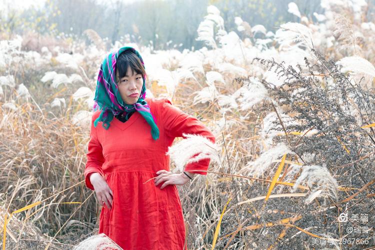 其它 儍妞找婆家 写美篇  陕西省陕北有一户农家人,儿子小名叫石头,在