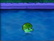 《植物大战僵尸》