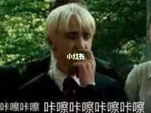 哈利波特表情包2_表情包_哈利波特_哈利波特表情包_素材_表情包