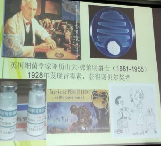 在1928年,英国人亚历山大.弗莱明爵士.发明了青霉素.