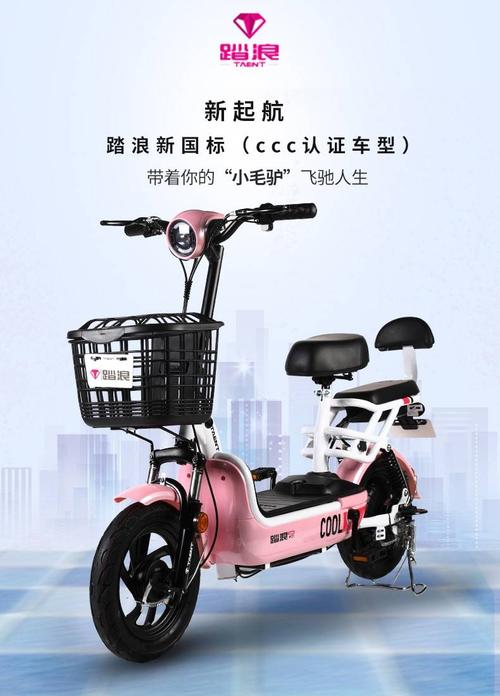 踏浪电动车新国标款……z-01(自主研发)
