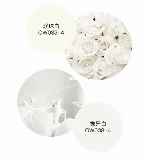 立邦干净颜色象牙白珍珠白_白珍珠_象牙_立邦怎么样_梦境_家居家装