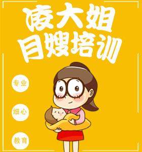 合肥舒城知名的育婴师服务-合肥凌大姐母婴护理有限公司