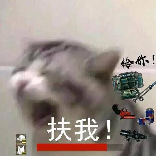 和平精英吃鸡表情包