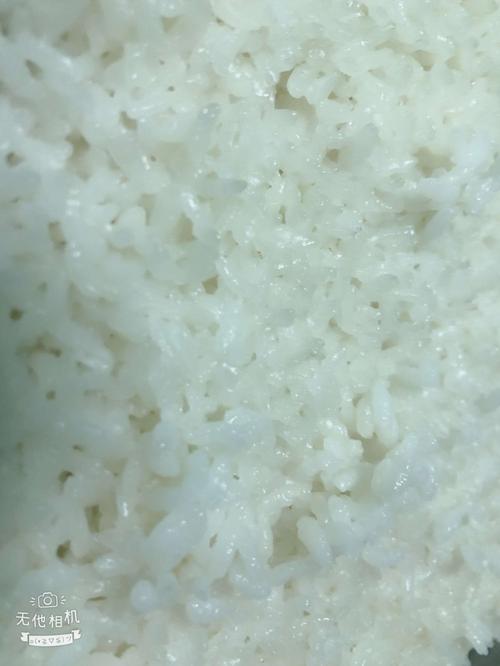 【洞林之星幼儿园】-今日美食