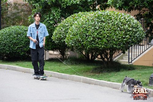 官博更博:#王一博# · #天天向上王一博# … - 堆糖,美图壁纸兴趣社区