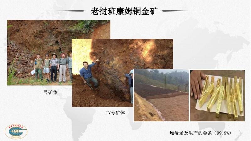 老挝矿产资源特点及找矿勘查技术示范