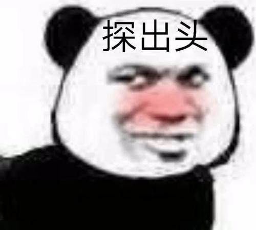 探出头