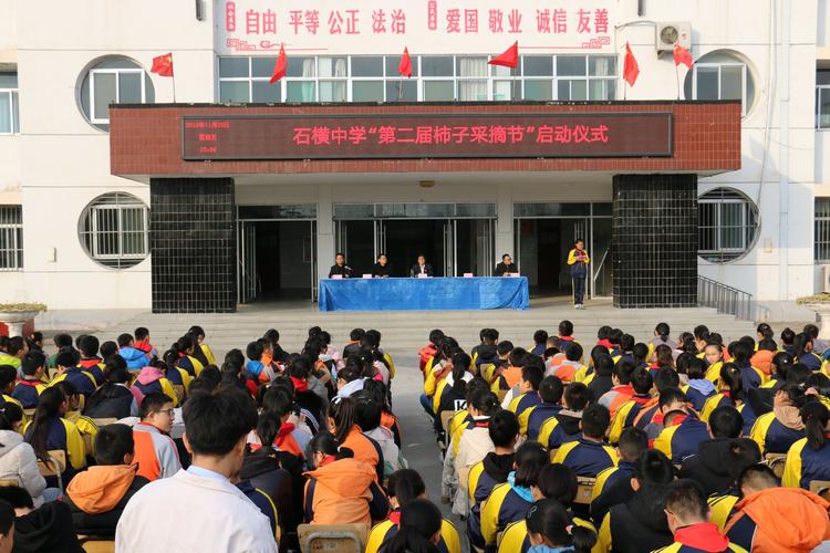 柿树丰收季,采摘正当时——石横中学第二届柿子节