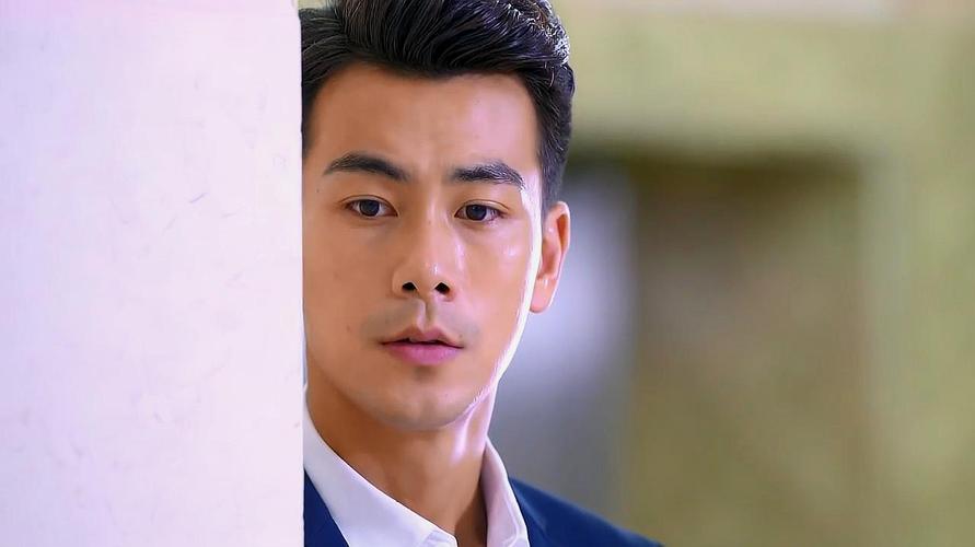 戴向宇演过哪些电视剧?