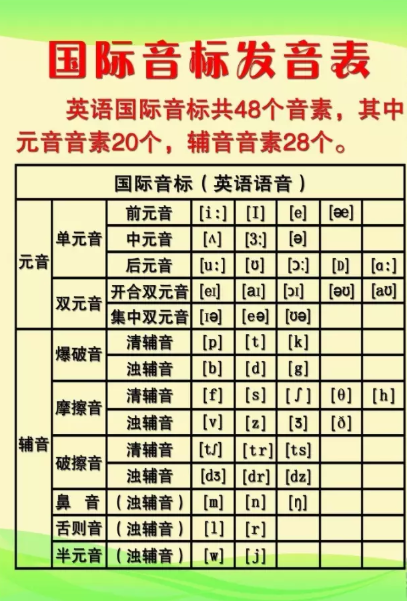 孩子到了学英语的年纪,学音标还是自然拼读?