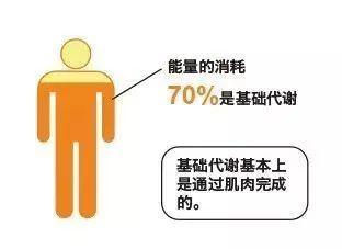 所以,经常进行力量训练,能使基础新陈代谢率提高6.8%~7.8%!