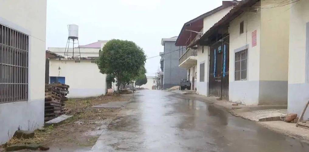 安义县绘出乡村振兴新画卷_长埠镇_村庄_发展