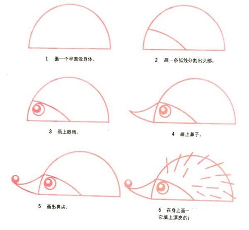 幼儿可爱小刺猬的画法简笔画图片步骤