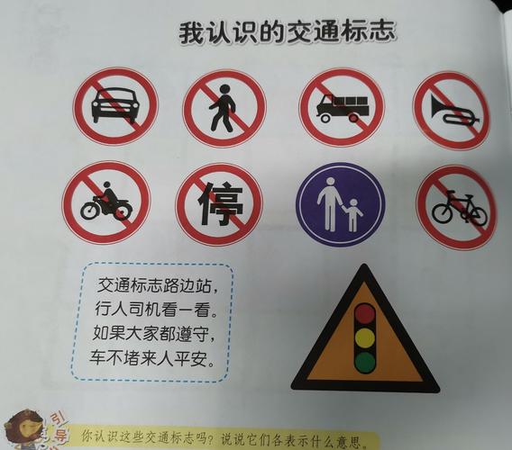 朝阳幼儿园中二班————《我在马路边》主题系列活动