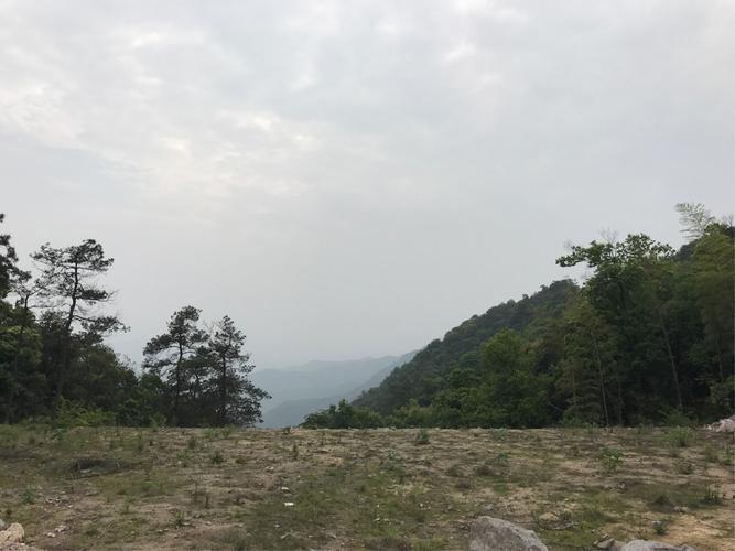 五月的杭州萧山大岩山