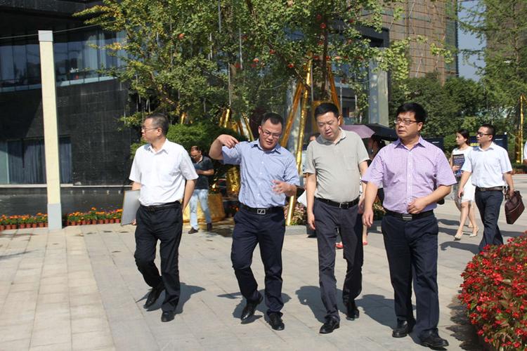区委常委刘松一行调研南充绿地城项目